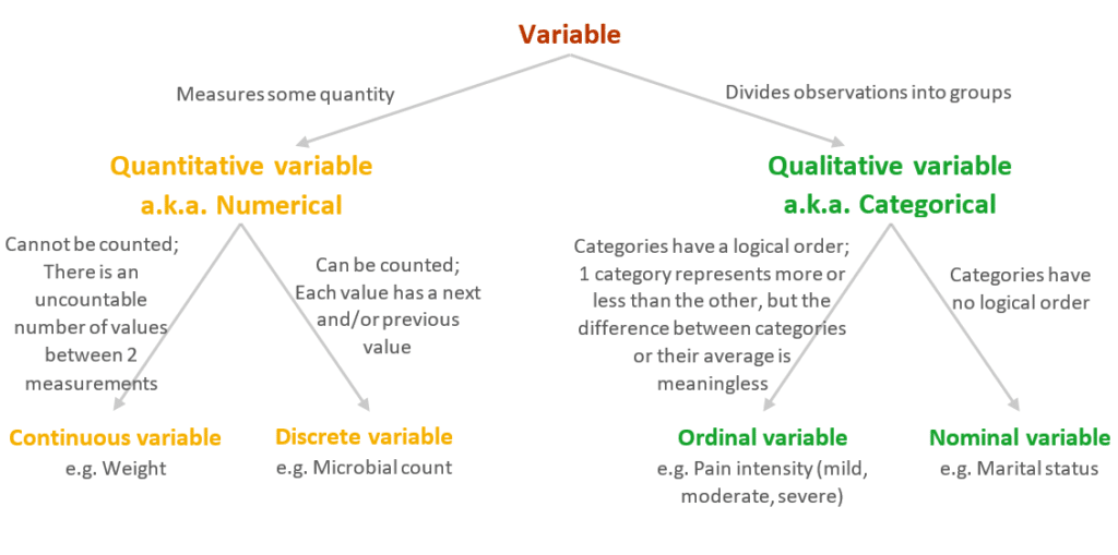 A decision tree for identifying variable type