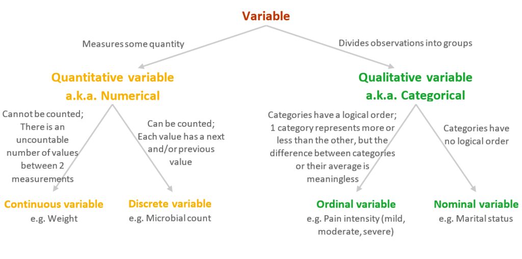 Identify Variable Types In Statistics With Examples Quantifying Health 