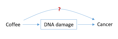 Causal diagram representing the mediation effect of DNA damage