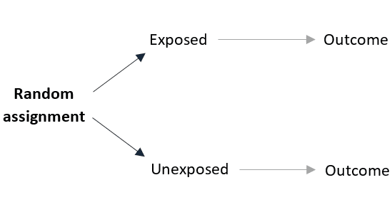 each participant is assigned with the same chance to either being exposed or not
