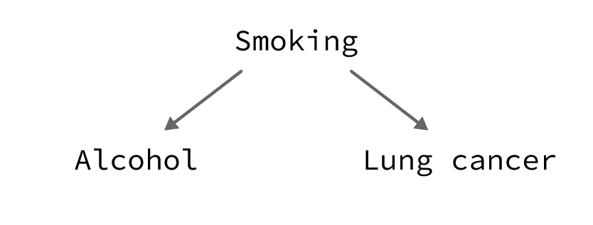 smoking is a common cause of alcohol and lung cancer