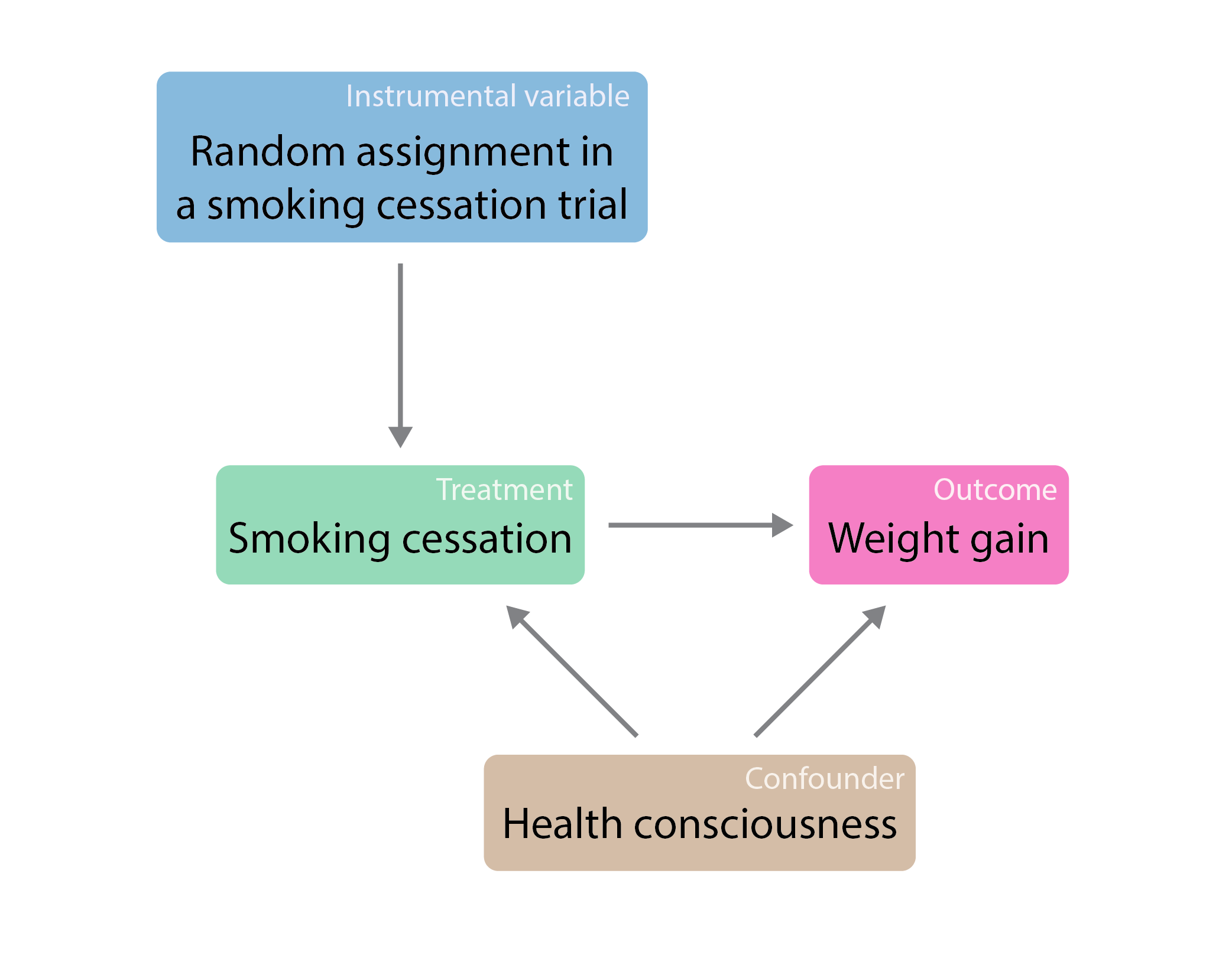 causal diagram of example 2